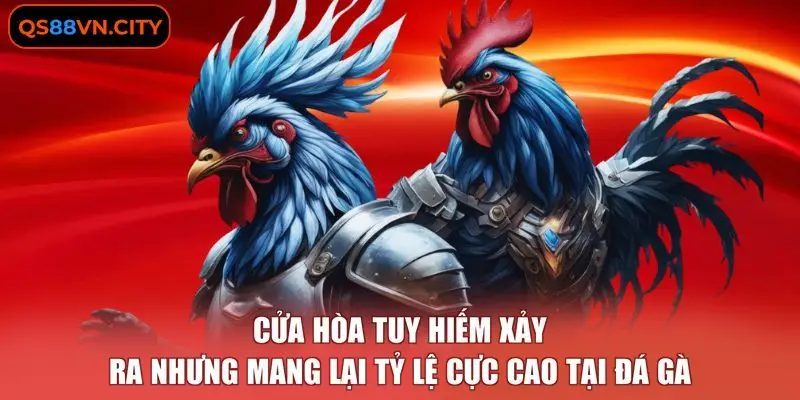 Cửa hòa tuy hiếm xảy ra nhưng mang lại tỷ lệ cực cao tại đá gà