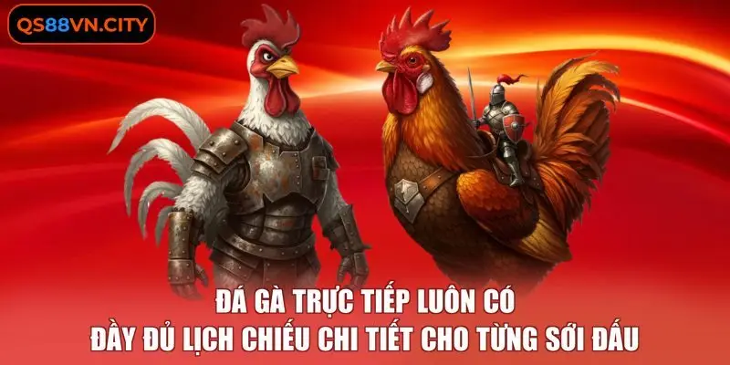 Đá gà trực tiếp luôn có đầy đủ lịch chiếu chi tiết cho từng sới đấu
