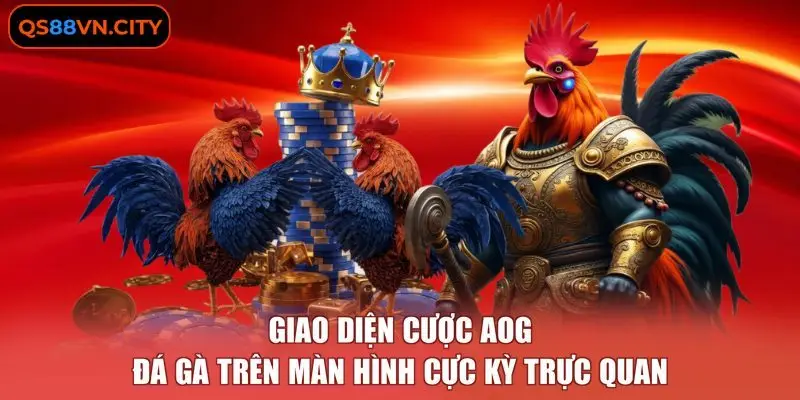 AOG Đá Gà - Sảnh Cược Trực Tiếp Từ 3 Trường Kê Chuẩn Quốc Tế 2 Giao diện cược AOG đá gà trên màn hình cực kỳ trực quan.
