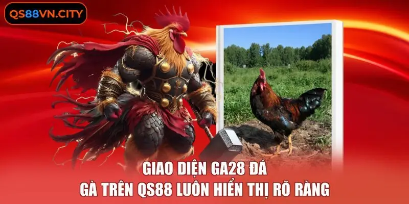 GA28 Đá Gà - 3 Tính Năng Hỗ Trợ Kê Thủ Chuyên Nghiệp 2 Giao diện GA28 đá gà trên QS88 luôn hiển thị rõ ràng.