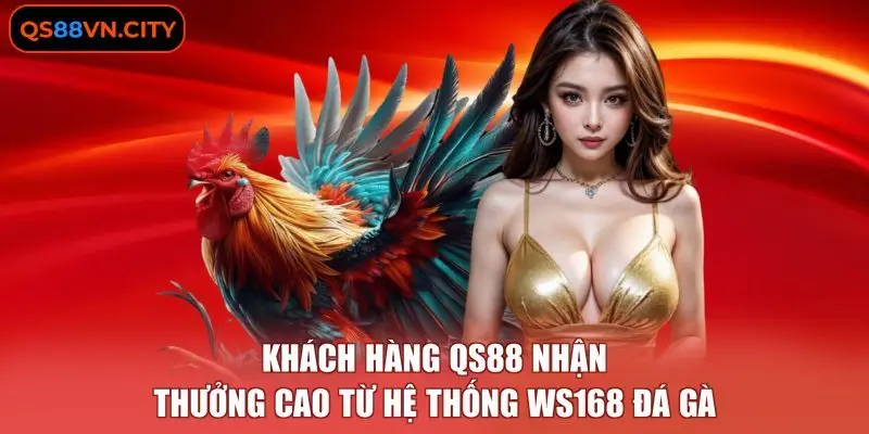 WS168 Đá Gà - 3 Hình Thức Chọi Kê Phổ Biến Tại Nền Tảng 2 Khách hàng QS88 nhận thưởng cao từ hệ thống WS168 đá gà