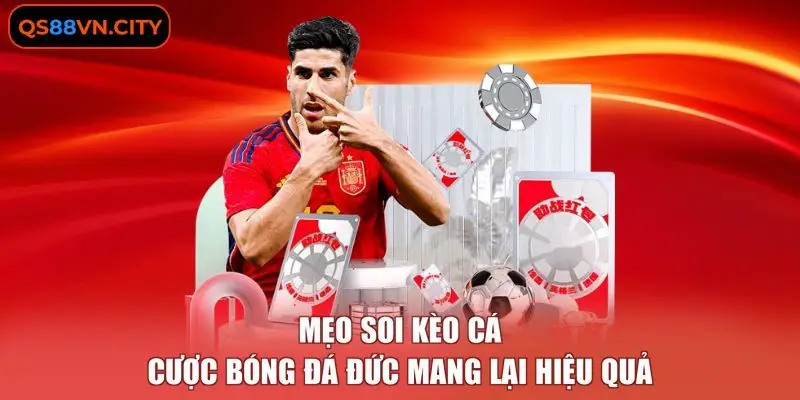 Kèo Cá Cược Bóng Đá Đức - Cẩm Nang 5 Chiến Thuật Nhận Định 3 Mẹo soi kèo cá cược bóng đá Đức mang lại hiệu quả