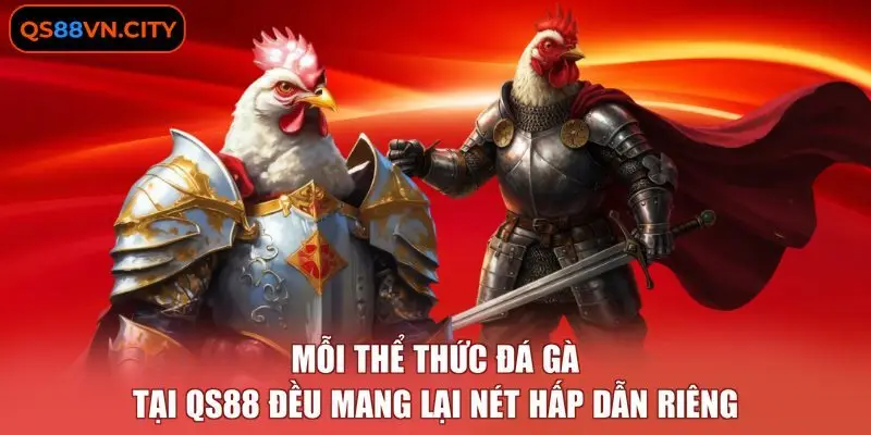 Mỗi thể thức đá gà tại QS88 đều mang lại nét hấp dẫn riêng