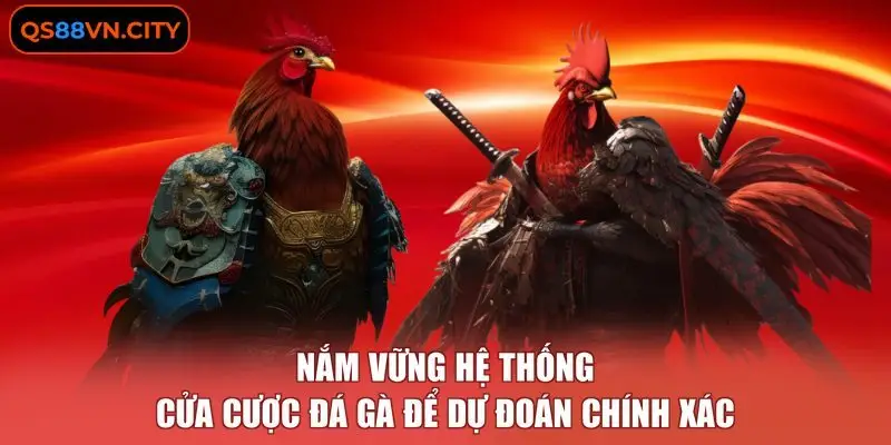 Nắm vững hệ thống cửa cược đá gà để dự đoán chính xác
