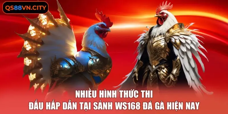 WS168 Đá Gà - 3 Hình Thức Chọi Kê Phổ Biến Tại Nền Tảng 1 Nhiều hình thức thi đấu hấp dẫn tại sảnh WS168 đá gà hiện nay