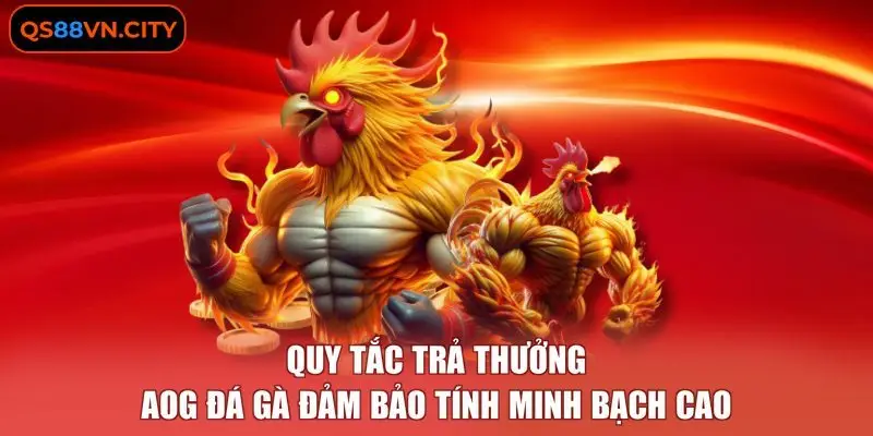 AOG Đá Gà - Sảnh Cược Trực Tiếp Từ 3 Trường Kê Chuẩn Quốc Tế 3 Quy tắc trả thưởng AOG đá gà đảm bảo tính minh bạch cao.