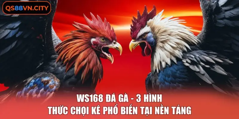 WS168 Đá Gà - 3 Hình Thức Chọi Kê Phổ Biến Tại Nền Tảng